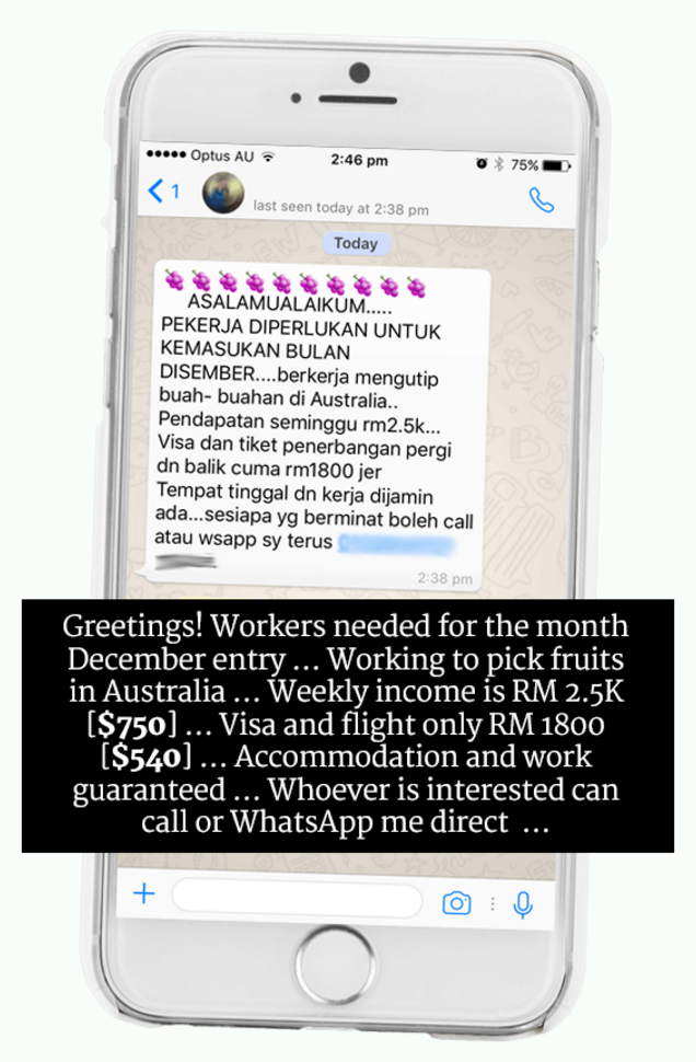 Australian Farms Use Illegal Immigrant Workers, Many Malaysians Usually Hired - World Of Buzz 5