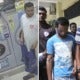 Justice For Laundromat Cat Killer As He's Sentenced To Two Years In Prison - WORLD OF BUZZ 3
