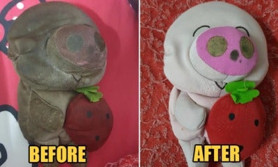 Malaysian Finally Dares to Wash His Bantal Busuk After So Long & The Transformation is Incredible! - WORLD OF BUZZ 3