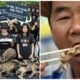 South Koreans Eat Boiled Dog Meat Protesting Against Dog Meat Ban - WORLD OF BUZZ 7