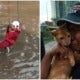 pjimage 2020 11 17T220549.089