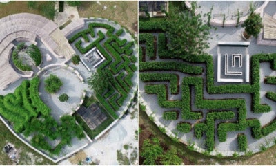 maze park ft