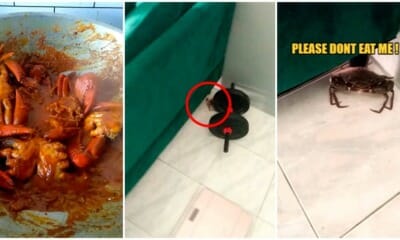 FT CRAB
