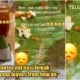 My Post 1 2023 02 28T180642.660