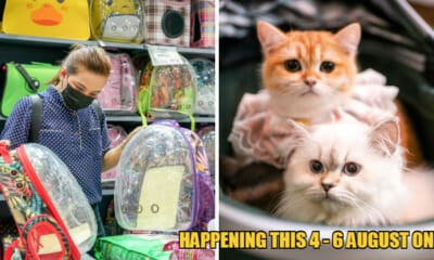 WOB EkspoKucing feat 1
