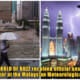 collage4