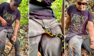 feat image snek