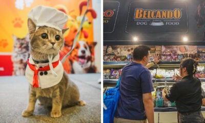 PET EXPO FEATURE