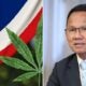 feat image cannabis thai1